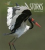 Storks (Paperback) - Melissa Gish Photo