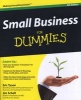 Small Business For Dummies (Paperback, 4th Revised edition) - Eric Tyson Photo