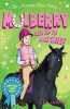 The Meadow Vale Ponies: Mulberry Gets Up to Mischief (Paperback) - Che Golden Photo