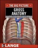 Gross Anatomy: The Big Picture (Paperback, Illustrated Ed) - David A Morton Photo