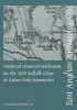 EAA 161 Medieval Dispersed Settlement on the Mid Suffolk Clay at Cedars Park, Stowmarket (Paperback) - Tom Woolhouse Photo