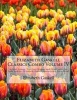 Elizabeth Gaskell Classics Combo Volume IV - Sylvia's Lovers, the Grey Woman and Other Tales, My Lady Ludlow (Elizabeth Gaskell Masterpiece Collection) (Paperback) - Elizabeth Cleghorn Gaskell Photo