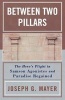 Between Two Pillars - The Heros Plight in Samson Agonistes and Paradise Regained (Paperback) - Joseph G Mayer Photo