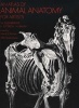 The Atlas of Animal Anatomy for Artists (Paperback, New impression) - W Ellenberger Photo