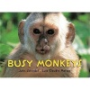 Busy Monkeys (Board book) - John Schindel Photo