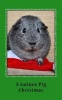 A Guinea Pig Christmas - A 5 X 8 Blank Journal (Paperback) - One Jacked Monkey Publications Photo