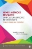 Mixed Methods Research and Culture-Specific Interventions - Program Design and Evaluation (Paperback) - Bonnie K Nastasi Photo