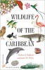 Wildlife of the Caribbean (Paperback) - Herbert A Raffaele Photo