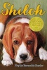 Shiloh (Paperback, 1st Aladdin Paperbacks ed) - Phyllis Reynolds Naylor Photo