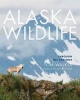 Alaska Wildlife - Through the Seasons (Paperback) - Tom Walker Photo