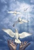 Releasing the White Doves of Love, Hope and Peace Journal - 150 Page Lined Notebook/Diary (Paperback) - Cs Creations Photo