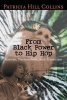 From Black Power to Hip Hop - Racism, Nationalism, and Feminism (Paperback, Annotated Ed) - Patricia Hill Collins Photo