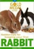 Rabbit (Paperback) - Amanda ONeill Photo