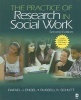 The Practice of Research in Social Work (Mixed media product, 2nd Revised edition) - Rafael J Engel Photo