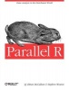 Parallel R (Paperback) - Q Ethan McCallum Photo