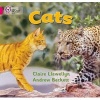 Cats - Band 01B/Pink B (Paperback) - Claire Llewellyn Photo