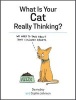 What is Your Cat Really Thinking? (Hardcover) - Sophie Johnson Photo