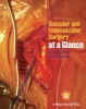 Vascular and Endovascular Surgery at a Glance (Paperback) - Morgan McMonagle Photo