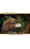 Golden Eagle Pocket Monthly Planner 2017 - 16 Month Calendar (Paperback) - David Mann Photo