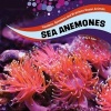 Sea Anemones (Hardcover) - Jody Sullivan Rake Photo