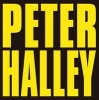 : Since 2000 (Hardcover) - Peter Halley Photo