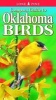 Compact Guide to Oklahoma Birds (Paperback) - Ted Cable Photo