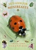 Let's Look for Minibeasts (Paperback) - Caz Buckingham Photo