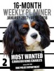 Most Wanted Cavalier King Charles 2017-2018 Weekly Planner - 16 Month - Large (11 X 8.5-Inches) Daily Diary Monthly Yearly Calendar (Paperback) - Ironpower Publishing Photo