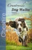 Countryside Dog Walks - Cheshire (Paperback) - Seddon Neudorfer Photo