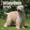 Wheaten Terriers, Soft Coated 2017 Square (Calendar) - Inc Browntrout Publishers Photo