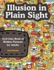 Illusion in Plain Sight - Activity Book of Hidden Pictures for Adults (Paperback) - Activibooks Photo