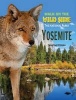 Yosemite (Hardcover) - Christine Petersen Photo