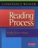 Reading Process - Brief Edition of Reading Process and Practice (Paperback, 3rd) - Constance Weaver Photo