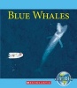 Blue Whales (Paperback) - Ruth Bjorklund Photo