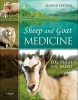 Sheep and Goat Medicine (Hardcover, 2nd Revised edition) - DG Pugh Photo