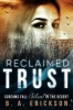 Reclaimed Trust - Screams Fall Silent in the Desert (Paperback) - B a Erickson Photo