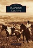 Haywood County (Paperback) - Michael Beadle Photo