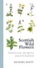 Scottish Wild Flowers (Paperback, New REV) - Michael Scott Photo