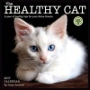 Healthy Cat 2017 Wall Calendar - A Year of Healthy Tips for Your Furry Friends (Calendar) - Dusty Rainbolt Photo