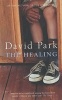 The Healing (Paperback, New edition) - David Park Photo