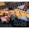 Blues Hands (Hardcover) - Joseph A Rosen Photo