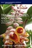 Travelling Cultures and Plants - The Ethnobiology and Ethnopharmacy of Migrations (Hardcover, New) - Andrea Pieroni Photo