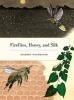 Fireflies, Honey, and Silk (Hardcover) - Gilbert Waldbauer Photo