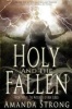 Holy and the Fallen (Paperback) - Amanda Strong Photo