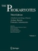 The Prokaryotes, v. 3: Archaea and Bacteria - Firmicutes, Actinomycetes (Hardcover, 3rd Revised edition) - Martin Dworkin Photo