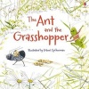 The Ant and the Grasshopper (Paperback) - Lesley Sims Photo