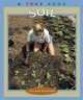 Soil (Paperback) - Christin Ditchfield Photo