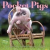 Pocket Pigs Wall Calendar 2017 - The Famous Teacup Pigs of Pennywell Farm (Calendar) - Workman Publishing Photo