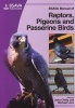 BSAVA Manual of Raptors, Pigeons and Passerine Birds (Paperback, New) - John Chitty Photo