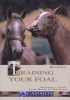 Training Your Foal - Raising a Foal - From Birth to Backing (Hardcover) - Renate Ettl Photo